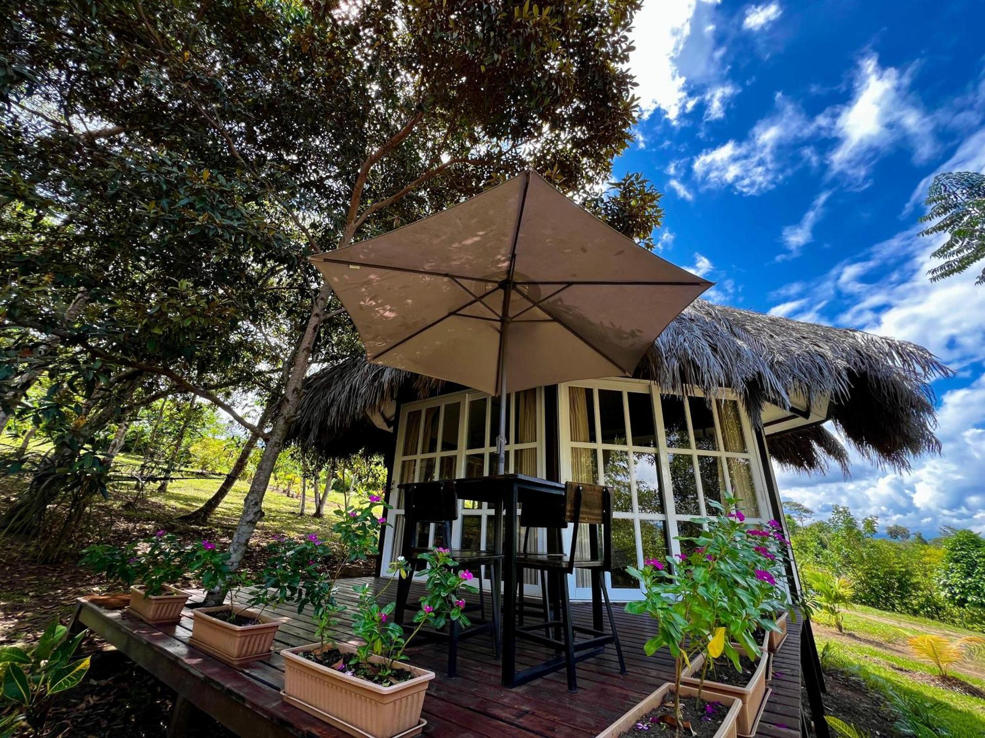 El Resort De Yanashpa - Tarapoto Pokój zdjęcie