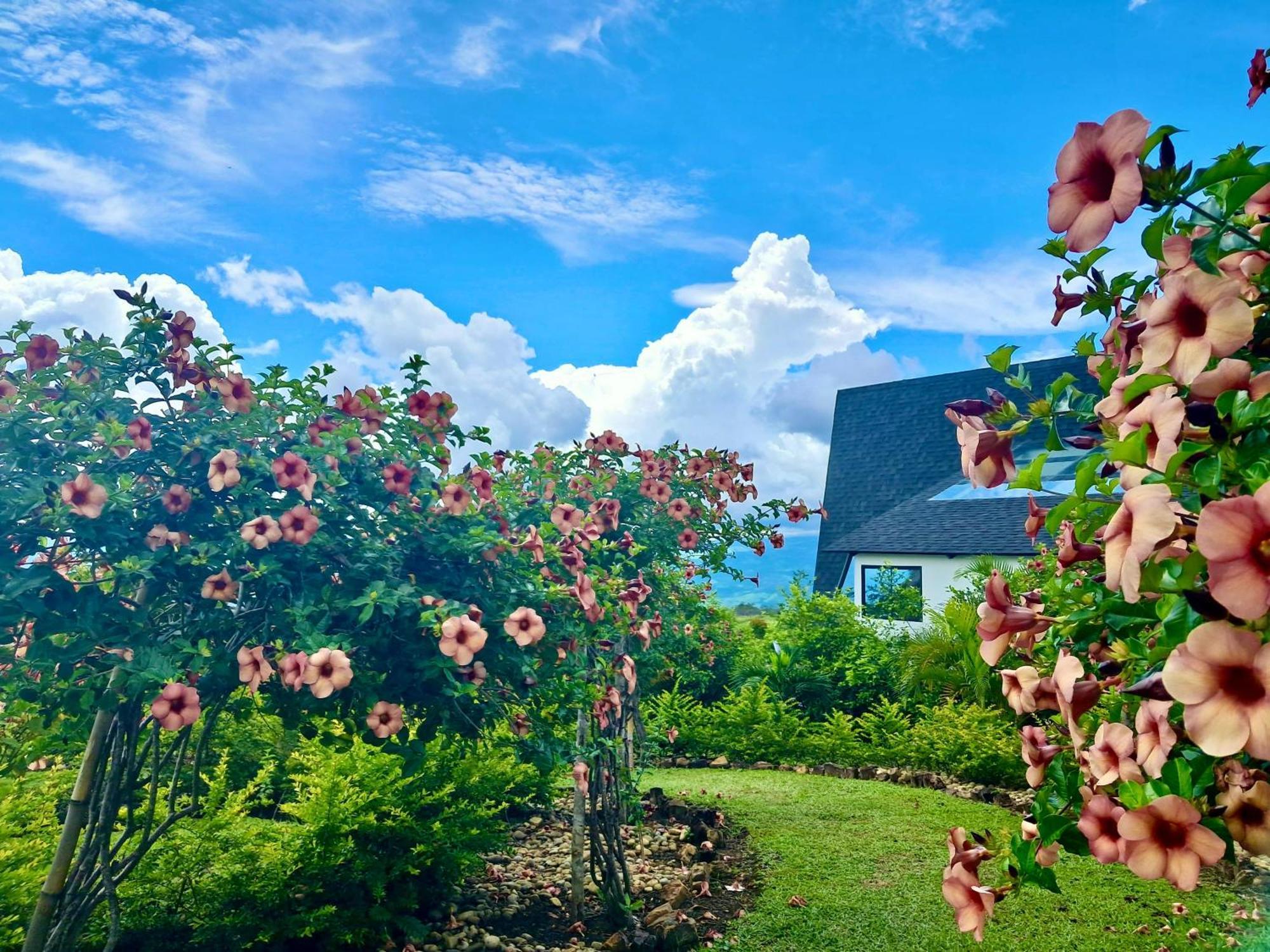 El Resort De Yanashpa - Tarapoto Zewnętrze zdjęcie